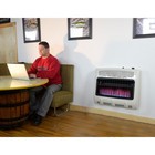 Mr  Heater Factory-reconditioned Natural Gas Vent-free Blue Flame Wall Heater 