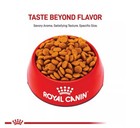 30 Lb Royal Canin Size Health Nutrition Medium Breed Adult Dry Dog Food