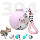 Creative Portable Outdoor Pet Stainless Steel Water Cup Small Dog Water Bottle C
