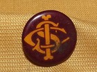 Vintage  Whitehead   Hoag Co Ics Csi  Sci Pin Button 