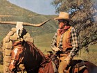 1966 The Rare Breed Mini 8x10 Original Mini Lobby Card Western James Stewart