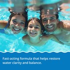 In The Swim - Pure Clear   No Phos - Reduces Phosphates   Removes Non-living