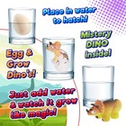Ja-ru Dino World Hatching Dinosaur Eggs Water Growing Toys For Kids  6 Eggs     