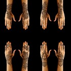 Henna Stencils 9 Sheet Tattoo Kit  Reusable 8 2 Inches X 4 7 