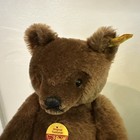 Vintage Steiff Jointed 13    Original Teddy Bear 0206 36 Ear Button Growler