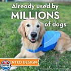 Thundershirt Breeze For Dogs  Medium  Sky Blue  Extra Breathable Mesh Fabric 