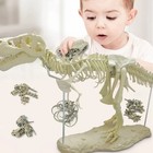 Animal Model T Rex Tyrannosaurus Rex Skeleton Dinosaur Toy Collector Decor Gift
