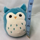 Squishmallows Winston The Owl 6    Plush Blue Small Q042 2018