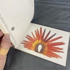 National Museum Of American Indian  Postcard Book Smithsonian Institution 1994 
