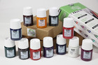Vitrea 160 Glass Paint  Assorted Colors 12 Pack