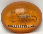 Lucite Acrylic Resin Encased Scorpion Domed Paperweight Quartzsite Arizona 