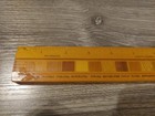 Timber Arts Inlay Wood Ruler 12  W  Native Timbers Of New Zealand Vintage
