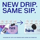 Hint Blackberry Flavored Water  16 Fl Oz  12 Pack Plastic Bottles
