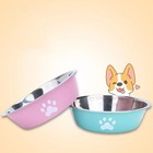 Large Capacity Pet Feeder Bowl Non-slip Stainless Steel Dog Bowl Dog Water Bowl