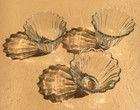 3-set Bell tulip Glass Lamp Shades Clear Scallop-edge ribs Desk ceiling Vintage