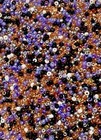 8 Grams Haunted Harvest Mixed Size Glass Seed Beads Halloween Diy Craft Mix