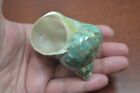 Green Pearl Turbo Shell Hermit Crab 2  - 2 1 2   7064