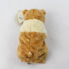 2000 Ty Beanie Babies Pellet The Hamster With Tags Plush Toy