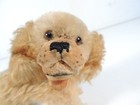 Steiff Puppy Dog Open Mouth Mohair Stuffed Animal No Tag Vintage 5 wide X 4 tall