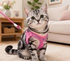 Pink Cat Harness And Leash Set For Small Dogs   Kitties Cute Easy On Easy Off
