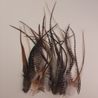 100 5-10  Nat Mix Whiting Grizzly Cree Rooster Saddle Feather Hair Extensions