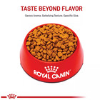 2 Packs  Royal Canin Adult Dry Dog Food - Poodle Breed Health Nutrition 10 Lb