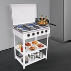 5 Burners Portable Natural Gas Stove Propane Burner For Rv Outdoor Cooking
