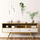Glass Vase Decorative Flower Pot Glass Bottle Ornaments Room Desk Home