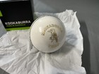 Kookaburra Turf White Test Odi T20 Cricket Ball 156g 5 5 Oz Australia