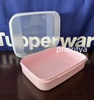 Tupperware Large Storzalot Signature Line Container Hinged Lid Light Pink New