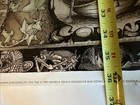 Lord Of The Rings Poster J Caddy Illustration George Allen Publishers Fantasy