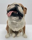 Vintage 2003 Sandicast Original Size Fawn Bulldog Sculpture Os468 Sandra Brue