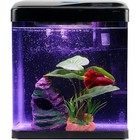 Fish Tank Self Cleaning Glass 2 Gallon Small Nano Aquarium Starter Kit Led Light