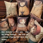 Vintage Primitive Folk Colonial Reproduction Antique Portrait Cat Pillow  No  3