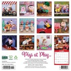 Pigs At Play 2027 12  X 12  Wall Calendar free Shipping 