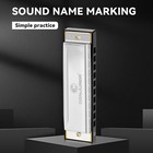 Conjurer 10hole Diatonic Harmonica Key Of C Blues Harmonica For Beginner Adult