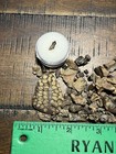 79pcs Fossils Teeth  Verts  Toes  Claw  Scute Lance Formation Wy Dinosaur Fossil