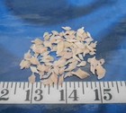   Gar Scales   100    Pink   Mauve Blush   Shellcraft   Sailor s Valentines  