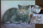 Custom Pet Portrait  Custom Pet Painting  Oil Painting Originals  Animals 12x12