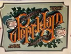 Pearl Jam Poster Wrigley Field Chicago 2024 Max Loeffler Cubs Illinois 8 28 8 31