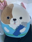 2025 Berkshire Hathaway Squishmallows Exclusive Warren Buffett Charlie Omaha Dog