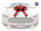 30  Big Car Bow W  Supreme Hold Suction Cup - Won t Scratch - Stronger Hold