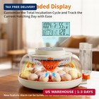 Apdoe Egg Incubators For Hatching Eggs  Temperature And Humidity Control  Automa