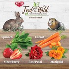Kaytee Food From The Wild Natural Snack For Pet Rabbits  Guinea Pigs And Other S