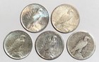 Lot Of 5 Cull 1922-1935 Us  1 Silver Peace Dollars  Mixed Dates   Mint Marks