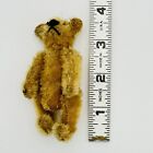 Antique Steiff Miniature Golden Yellow Mohair Teddy Bear Germany 3 5    1910 Rare