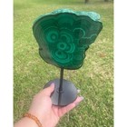Large Vibrant Malachite Slab On Stand   2 Lbs In Weight