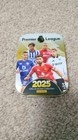 Panini Premier League 2025 Stickers- Choose The Ones You Need  636 636 Available