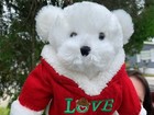 Big Vintage Dan Dee White Teddy Bear Christmas Love Hoodie Plush Stuffed Animal