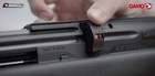 Gamo Arrow Pcp  22 Caliber 10-shot Pellet Rifle
